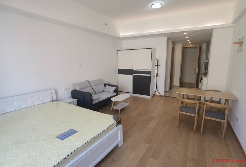 世茂商圈-凤凰城-公馆，1室1厅精装首租，难得好房源，拎包入住