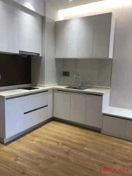 世茂商务广场19楼精装公寓2房/1厅/1卫朝西95平米2700元/月