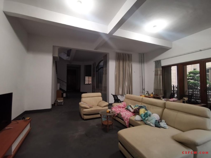 中南世纪城1楼毛坯好房5房/4厅/3卫朝南509平米1250万