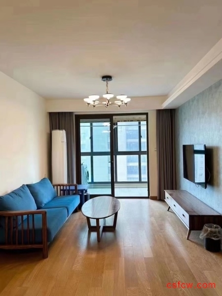 万科公望精装好房3房/2厅/1卫朝南96平米248万