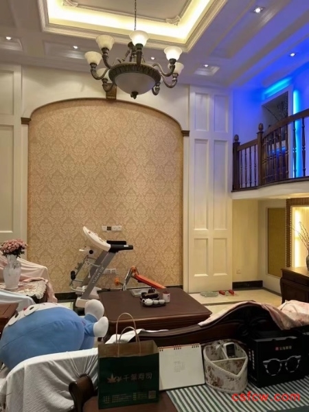 润欣花园简装好房4房/2厅/3卫朝南297平米500万