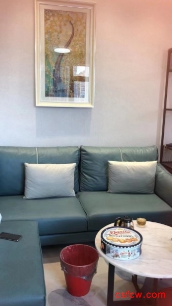 天空之城精装好房1房/1厅/1卫朝东57平米39.8万