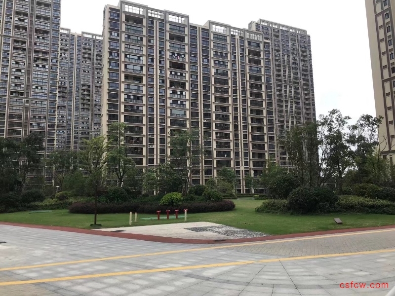 滨江铂郡精装好房3房/2厅/1卫朝南88平米100万