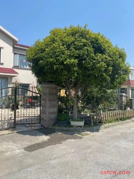 金枫花园精装好房5房/3厅/3卫朝南197平米498万