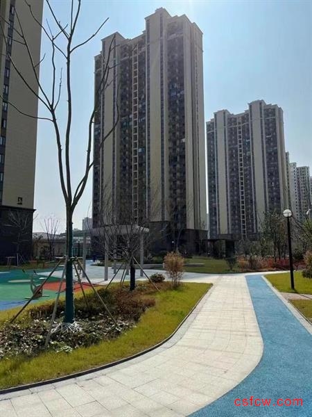 碧海家园，127平，毛坯，带车位，125万