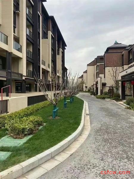 富春雅居56叠加，带车位，精装，350万