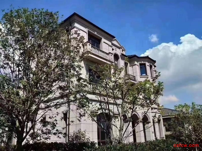 江南府，双拼别墅，毛坯，带院子，1100万