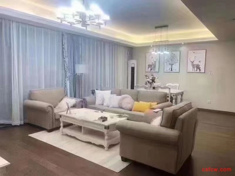 万科公望精装好房4房/2厅/2卫朝南138平米295万