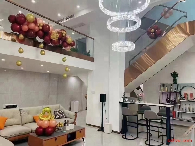 玫瑰园豪装好房3房/2厅/3卫朝南328平米650万