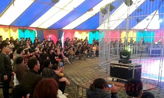 “东南悦城·马戏团”首场演出盛况空前