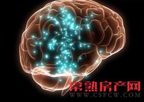 世茂御珑湾乐高机器人表演赛&珠心算比赛