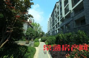 弘阳上园：园林中 院落里 寻回久违初心