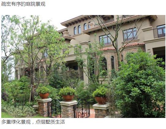 马德里别墅项目推广名更换为“鸿麦世家”