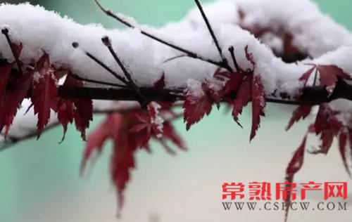 冬天也能享受春天温暖 你缺的只是一席豪庭