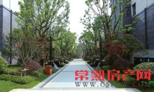 生活处处诗意 发掘万物蕴藏的灵动美学