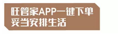 有这么治愈系的服务，生活美好得不像话