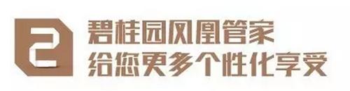 有这么治愈系的服务，生活美好得不像话