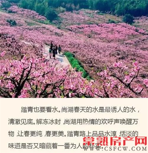招商太公望：清明时节来尚湖赏花