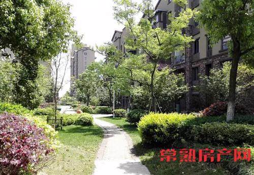 4月24日三一荣域精品样板间即将璀璨公开