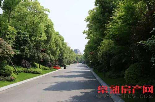 常熟国际学校2016钢琴音乐会完美落幕