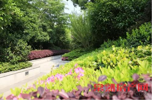 常熟国际学校2016钢琴音乐会完美落幕