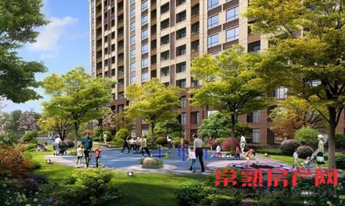 独家解密:润发·中央公园开盘日光之谜