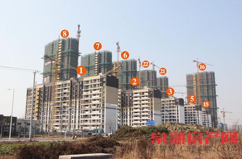 万科公望小高层基本落架完毕 外立面呈现