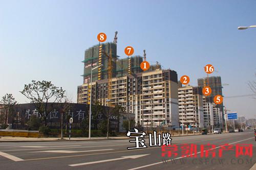 万科公望小高层基本落架完毕 外立面呈现