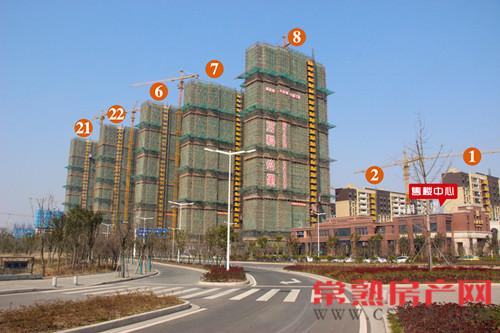 万科公望小高层基本落架完毕 外立面呈现