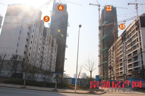 万科公望小高层基本落架完毕 外立面呈现