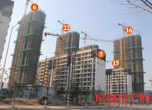 万科公望小高层基本落架完毕 外立面呈现