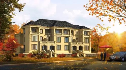 这个女人节 送你花和任你花你选哪种