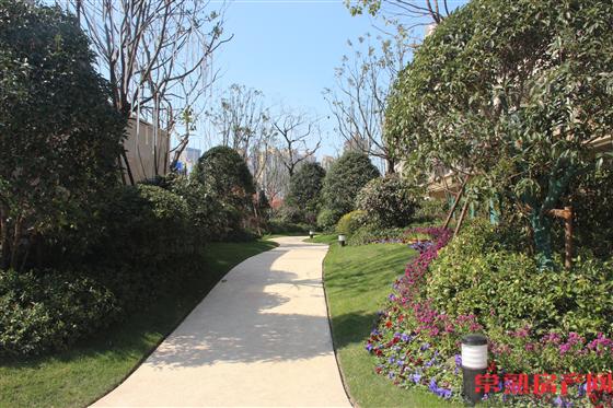 中南雅苑3月工程播报 高层均已出地面多层