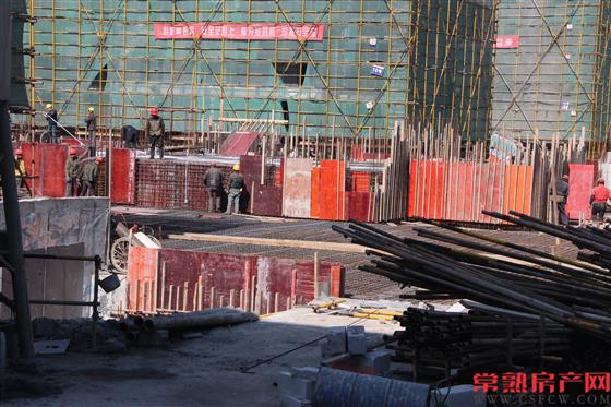 中南雅苑3月工程播报 高层均已出地面多层