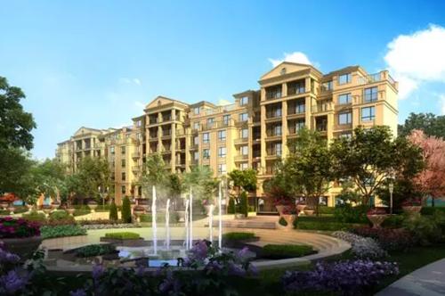 这个女人节 送你花和任你花你选哪种