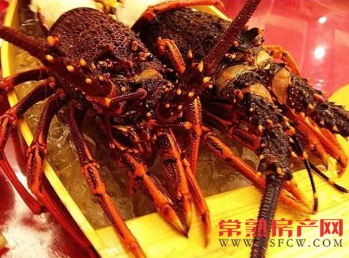 龙虾王配龙头铺 10斤巨头龙虾登陆常熟万达