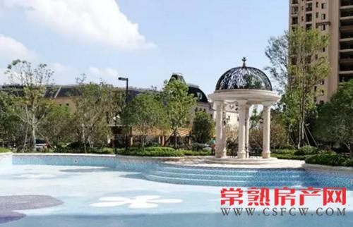 中南锦苑|当真心遇上真心 让家更完美！