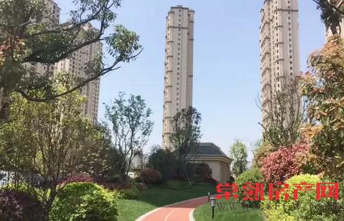 中南锦苑|当真心遇上真心 让家更完美！
