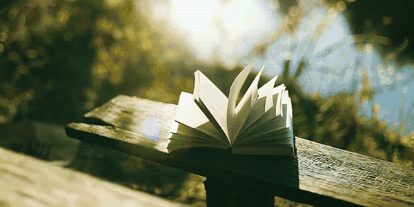 城市回归院落生活,品味自然如画人生