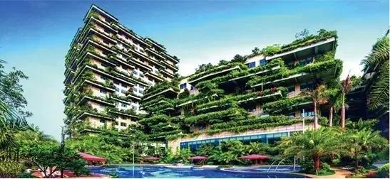 碧桂园·观澜名邸全城火热认筹中