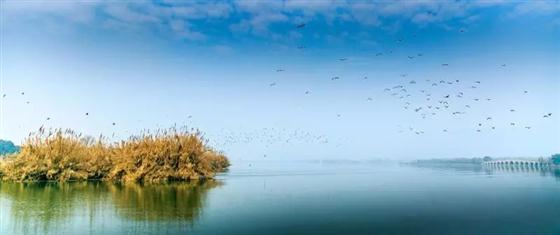 国学大师于丹5.26见山湖共话虞城生活