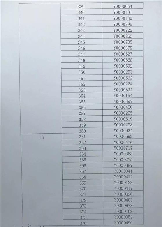 琴湖花园10、21幢开盘选房细则及摇号顺序公示