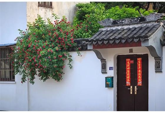 中南林樾&墨者攻再守邀您感受常熟,领略不一样的美 