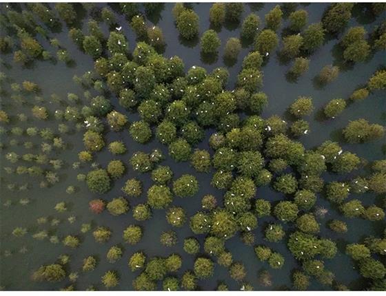 中南林樾&墨者攻再守邀您感受常熟,领略不一样的美 