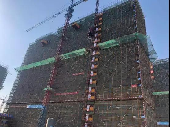 尚隽华庭|六月盛夏,一封家书传福音