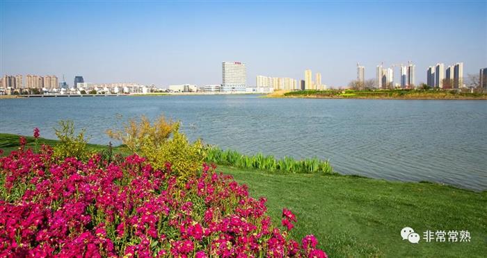 刚刚！这个板块拍出5宗地，琴湖小镇兑现超级速度！