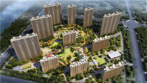 疫情期间，全民造富由此开启