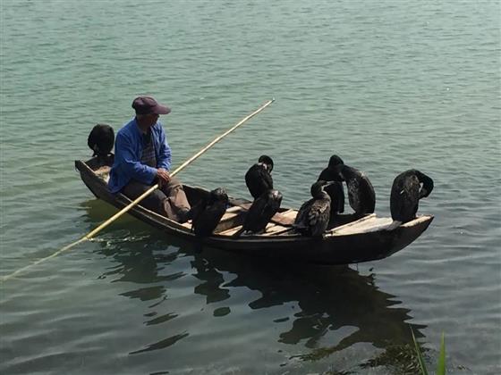 绿城服务提升月|礼遇美好常熟，明月兰庭甜蜜特饮上线