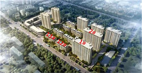 突发:星荟云庭实景示范区8.1全城公开 同步认筹,最小95平!