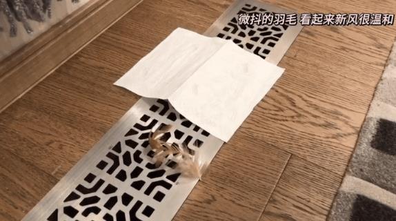 寒潮来袭 你和春天就差一个朗诗丨朗诗尚璟名筑试住体验记录